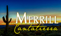 Merrill Cantatierra Homes for Sale Paradise Valley Arizona