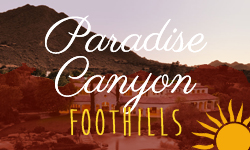 Paradise Canyon Foothills Homes for Sale Paradise Valley Arizona