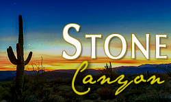 Stone Canyon Homes for Sale Paradise Valley Arizona
