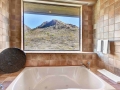 Master-Jetted-Tub