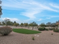 Backyard-ArtificialTurf