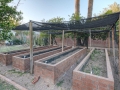 Raised-Garden-Beds