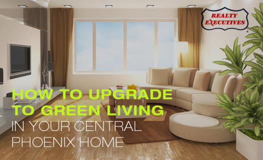 Green Living in Your Central Phoenix Home