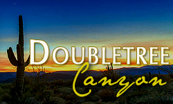 Doubletree Canyon Homes for Sale Paradise Valley Arizona