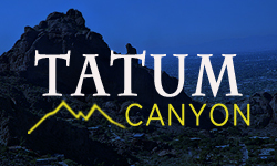 Tatum Canyon Homes for Sale Paradise Valley Arizona
