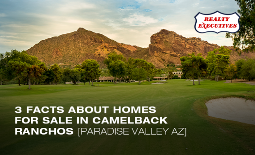 Homes for Sale in Camelback Ranchos