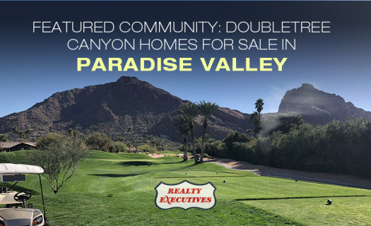 Doubletree Canyon Homes for Sale in Paradise Valley