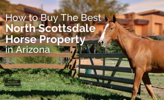 North Scottsdale horse property